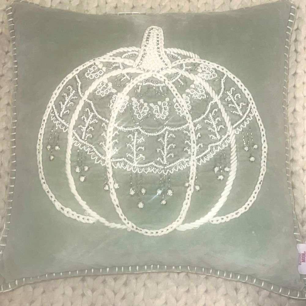 Moon Harvest Cotton Velvet Sage Green Embroidered Pumpkin Pillow Cover